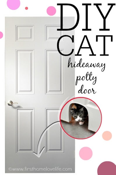DIY cat door.