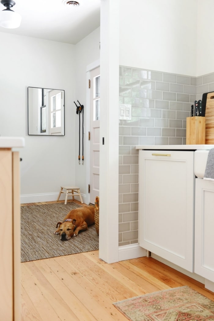 Dog laying down in mudroom.