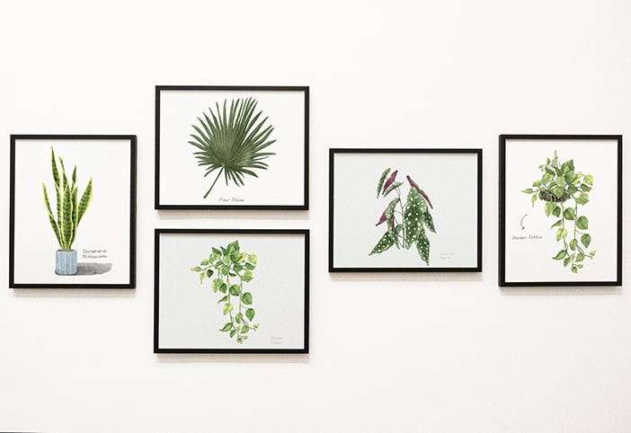 Gallery wall of plant prints.