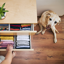 quick-organization-tips