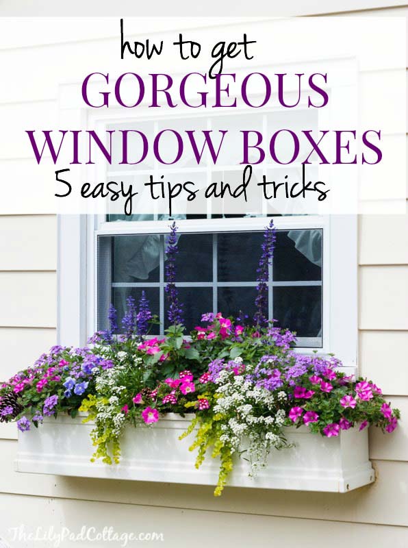 DIY window box tips