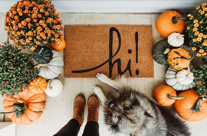 fall-curb-appeal
