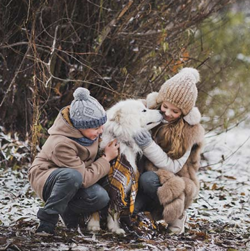how to keep your pets safe this winter
