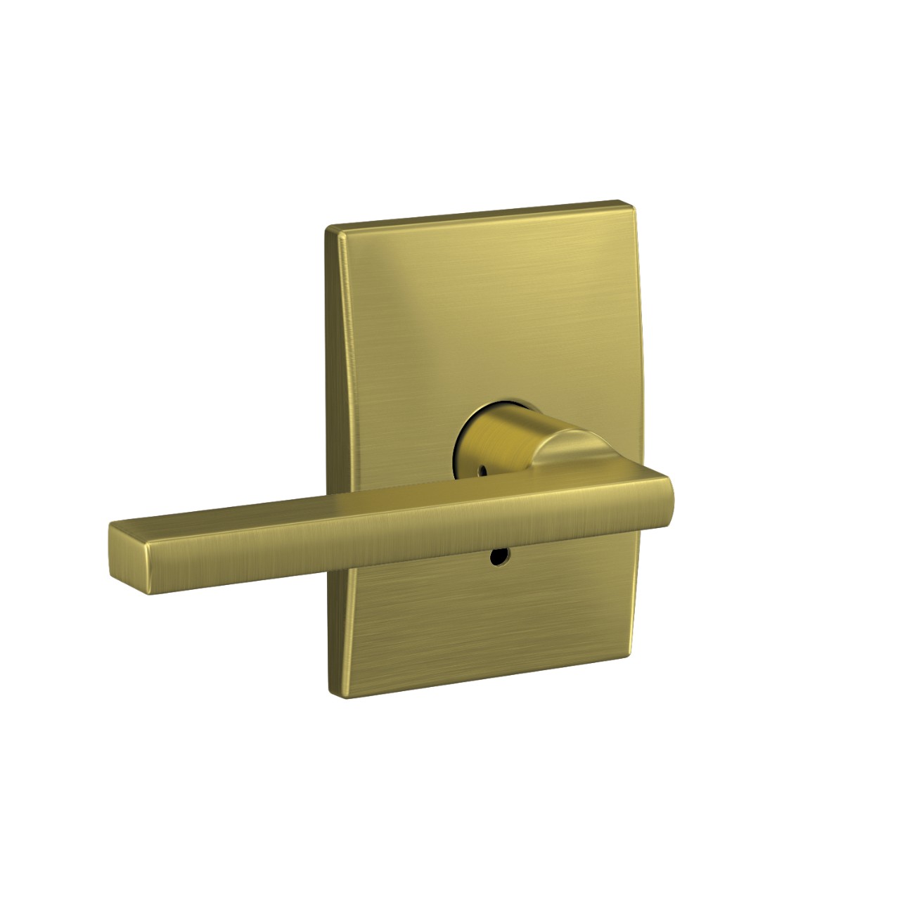 Custom Latitude Non-Turning Lever
