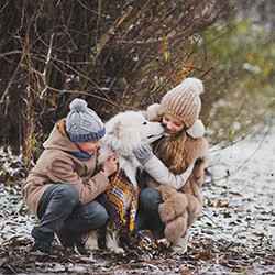 How to keep your pets safe this winter. | Schlage